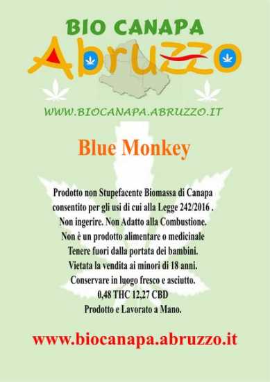 Blue Monkey Canapa - Clicca l'immagine per chiudere