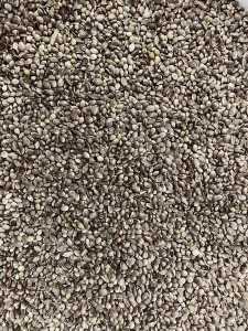 Hemp seed for Zootechnical use